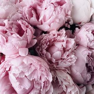 Meet your Posher, Ajla